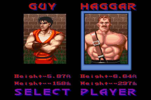 Final Fight Guy PC Game Download