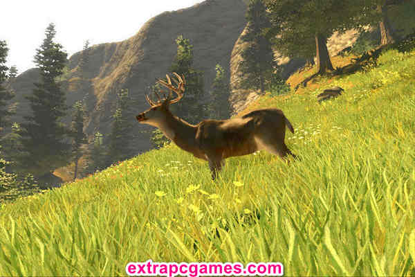 Download Cabela's Trophy Bucks Repack Game For PC